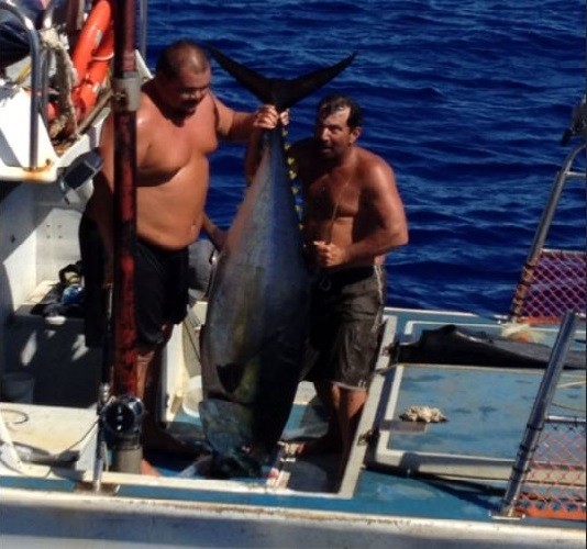 Fisherman with giant tuna